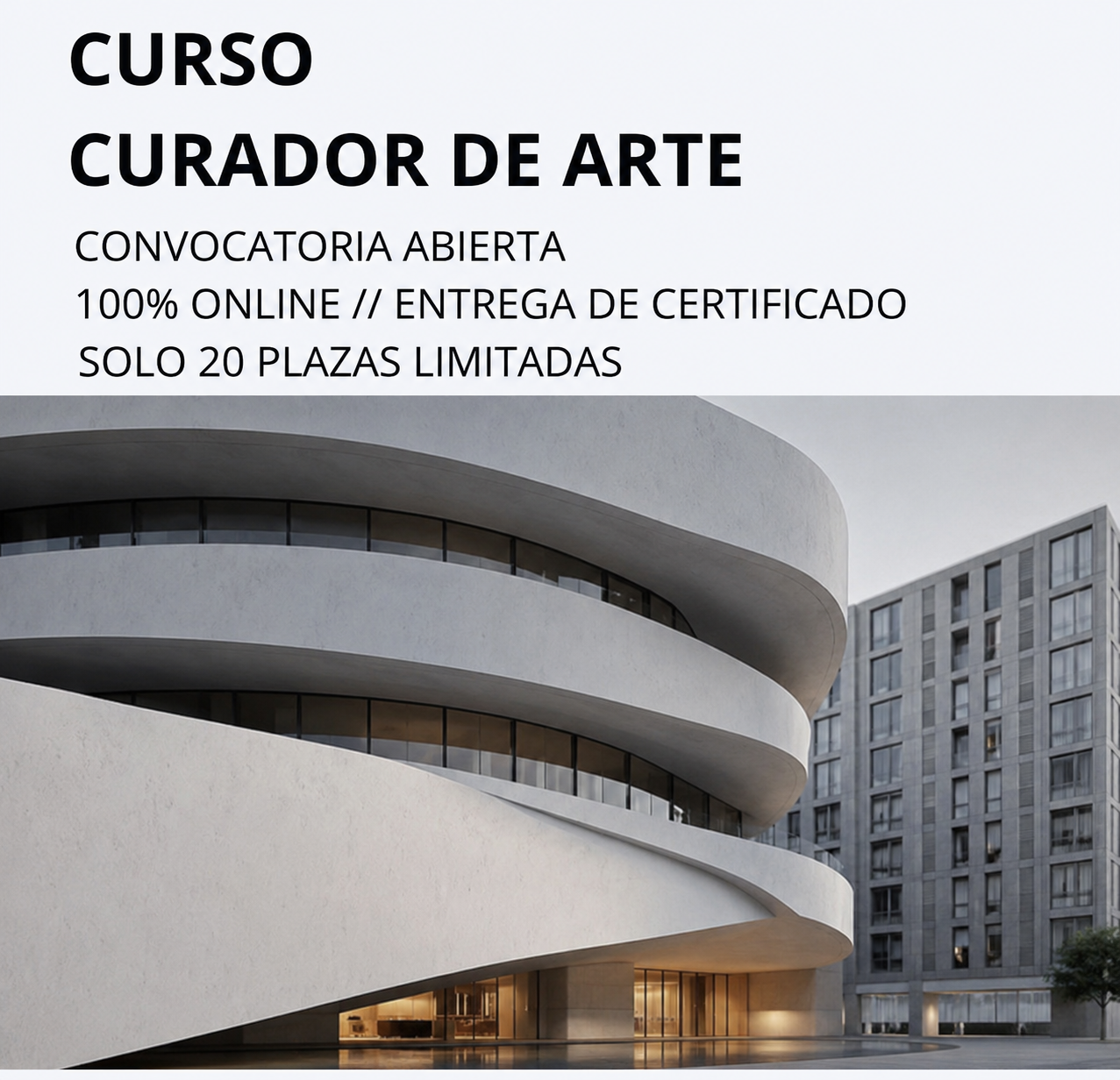 Curso Curador de Arte // Matrícula Abierta